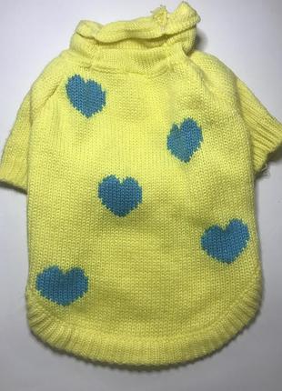 Светр для песиків