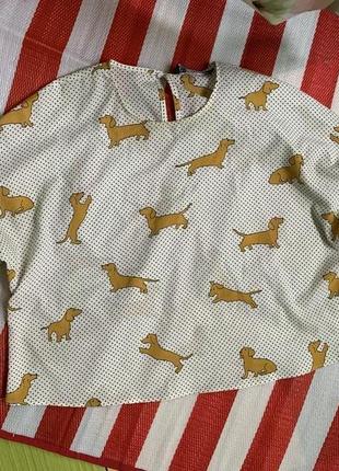 Классная блуза в горошек с собачками zara5 фото