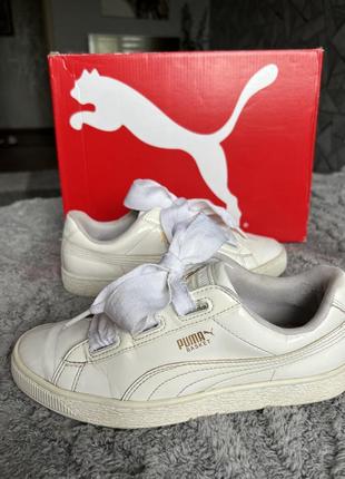 Кросівки кеди puma basket 39 шкіряні9 фото