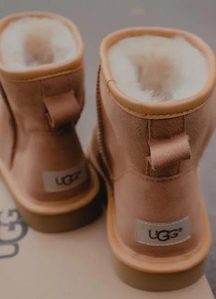 Зимние женские угги на меху ugg australia low коричневые (австралия лоу, уггі)5 фото