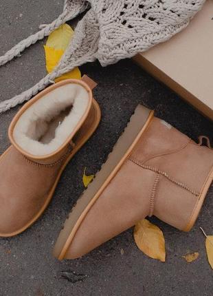 Зимние женские угги на меху ugg australia low коричневые (австралия лоу, уггі)4 фото