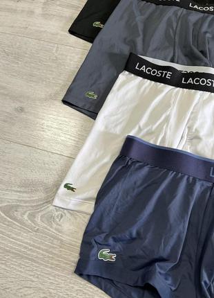 Трусы lacoste2 фото