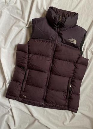 Жилет the north face
