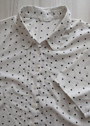 Блузки жіночі