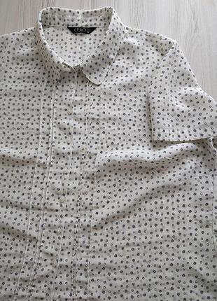 Блузки жіночі