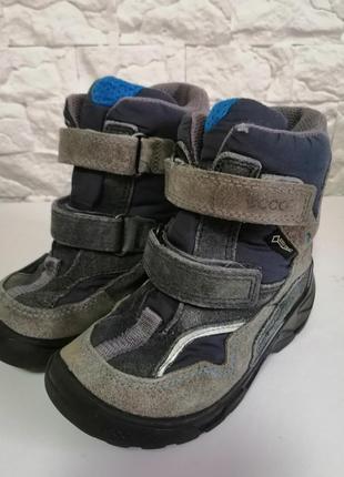 Термоботинки ecco gore-tex, 25 рр