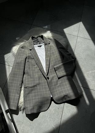 Піджак в клітинку