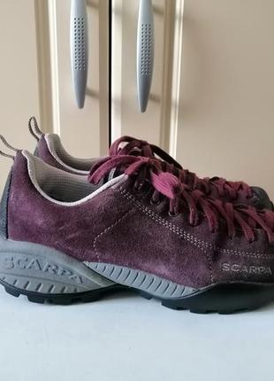 Кросiвки scarpa  mojito gtx на стопу 23-23,5 см gore-tex1 фото