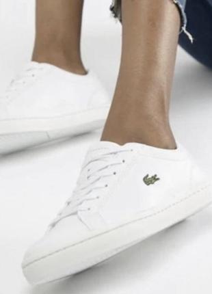 Парусиновые кеды lacoste1 фото