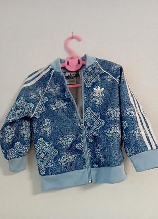Бомбер кофта  adidas