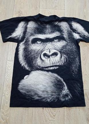 Gorilla