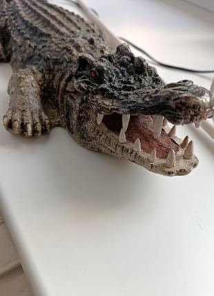 Крокодил декоративный
