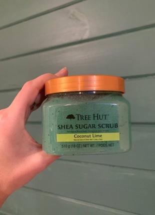 Скраб для тела tree hut coconut lime sugar scrub 510 g, лайм кокос