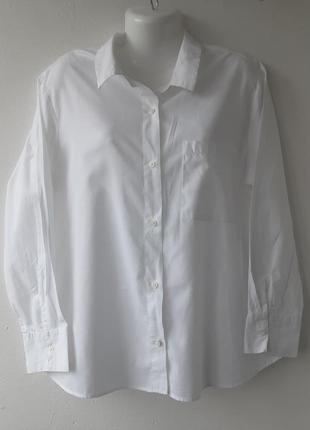 Белая базовая рубашка divided (h&amp;m) m 44-46 100%хлопок