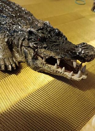 Крокодил декоративный7 фото