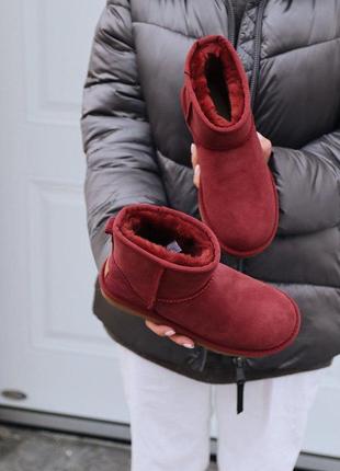 Зимние сапоги ugg mini cherry женские в бордовом цвете3 фото