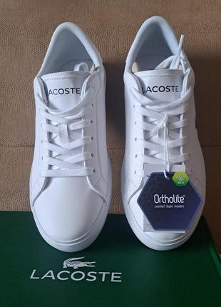 Lacoste кроссовки, новые, оригинал1 фото