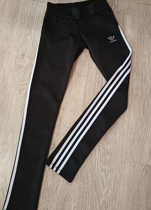 Лосіни штани adidas