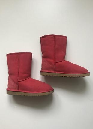 Сапоги ugg