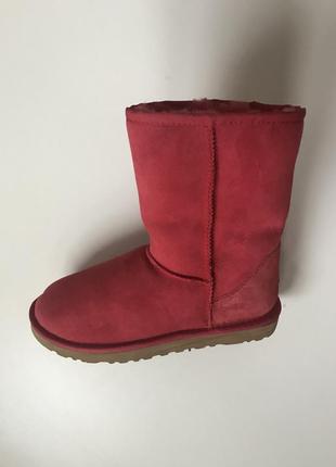 Сапоги ugg3 фото