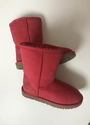 Сапоги ugg2 фото