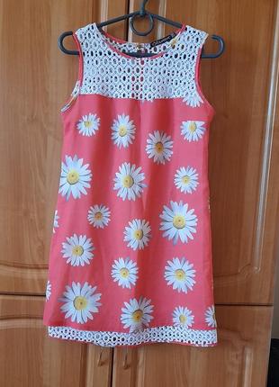 Суня ромашка