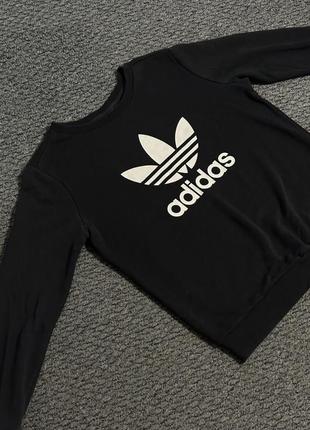 Свитшот реглан adidas original