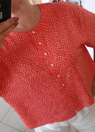 Укорочена сорочка блуза в горошок з гарним розрізом ззаду3 фото