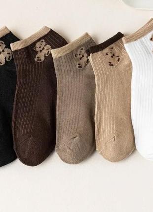 5 пар. базові шкарпетки з ведмедиком1 фото