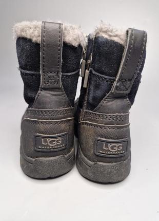 Снехоходы ugg4 фото