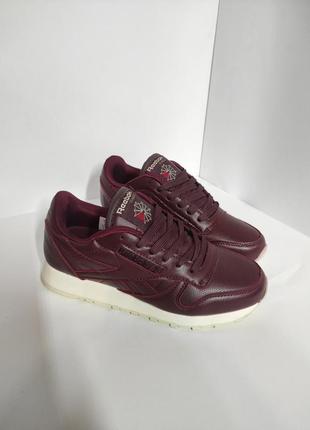 Кроссовки reebok* classic / рибок классик бордовые 38,392 фото