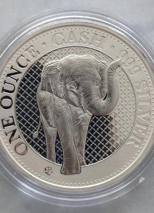 Серебряная монета "слон cach" серия "дикая природа индии", о. святой елены, 1 фунт, 20213 фото
