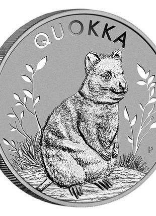 Срібна інвестиційна монета "квокка", 1 унція срібла проби 9999, 1 aud, австралія, 20231 фото