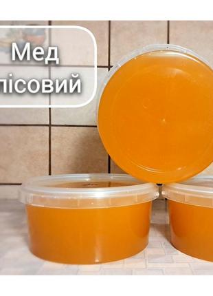 Мед лісовий 0.5 л (700 г) урожай 2023 р. 100 % натуральний