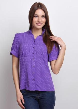 Блуза фиолетовая в горошек3 фото
