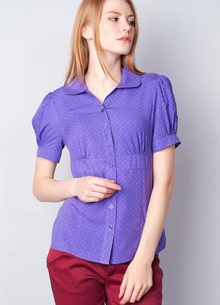 Блуза фиолетовая в горошек