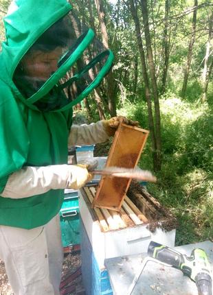 Мед из липы 3 л (4200г) урожай 2023р. 100% натуральный8 фото