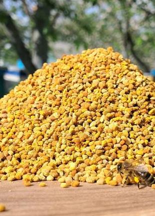 Цветочная весенняя пыльца 1 кг урожай 2024 г. сушеный при 40°c2 фото
