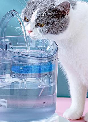 Диспенсер води для котів і собак прозорий 2 л, автоматична поїлка для кішок3 фото