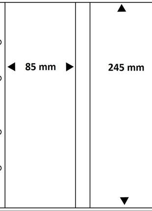 Лист для монетных карточек 245 х 85 мм - safe premium