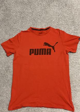 Puma1 фото