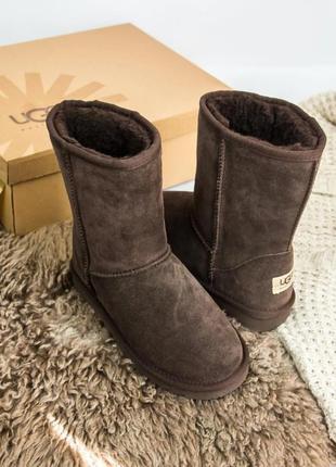 Зимние женские угги на меху ugg australia high коричневые (австралия хидж, уггі)4 фото