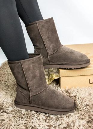 Зимние женские угги на меху ugg australia high коричневые (австралия хидж, уггі)