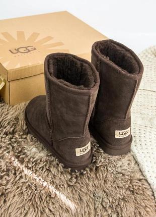 Зимние женские угги на меху ugg australia high коричневые (австралия хидж, уггі)5 фото