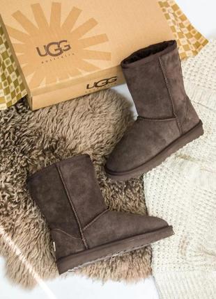 Зимние женские угги на меху ugg australia high коричневые (австралия хидж, уггі)3 фото