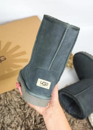 Зимние женские угги на меху ugg australia high серые (австралия хидж, уггі)5 фото