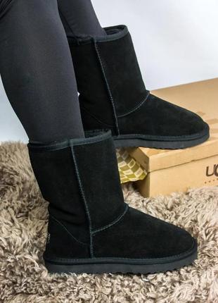 Зимние женские угги на меху ugg australia high черные (австралия хидж, уггі)