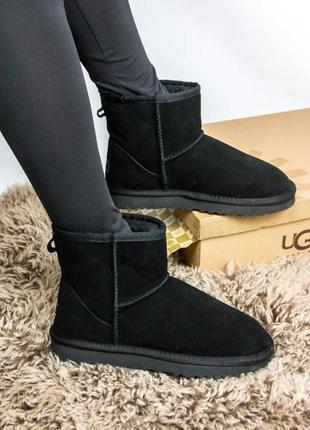 Зимние женские угги на меху ugg australia low черные (австралия лоу, черевики)1 фото