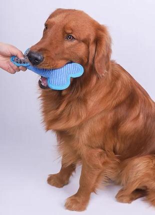 Іграшка для собак "кісточка" плюшева blue2 фото