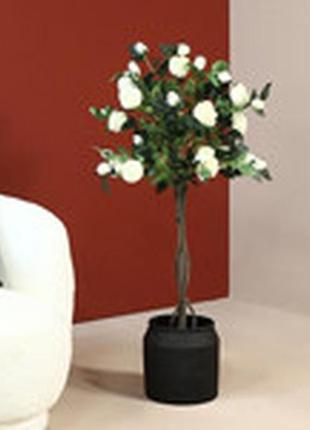 Дерево роза на штамбе белая 120 см5 фото